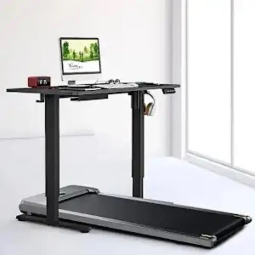Fitness Gear